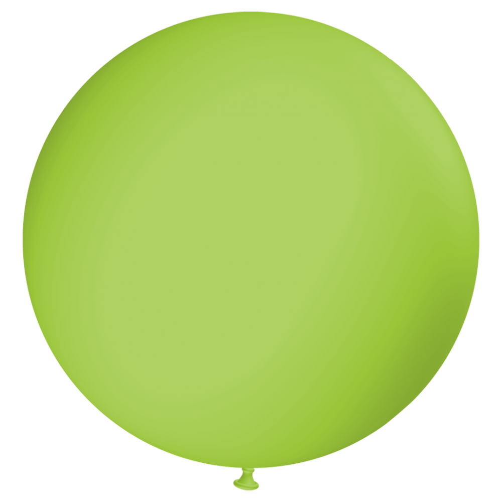 Ballon R140-008 Ø 43 cm GRÜN