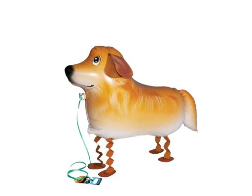 Air Walker Golden Retriever