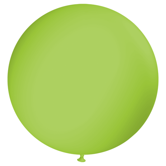 Ballon R140-008 Ø 43 cm GRÜN