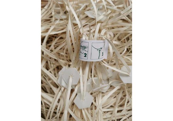 ZIBI-FIX-Automatikverschlüsse bio.abbaubar - Band 100cm